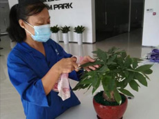 大堂清潔